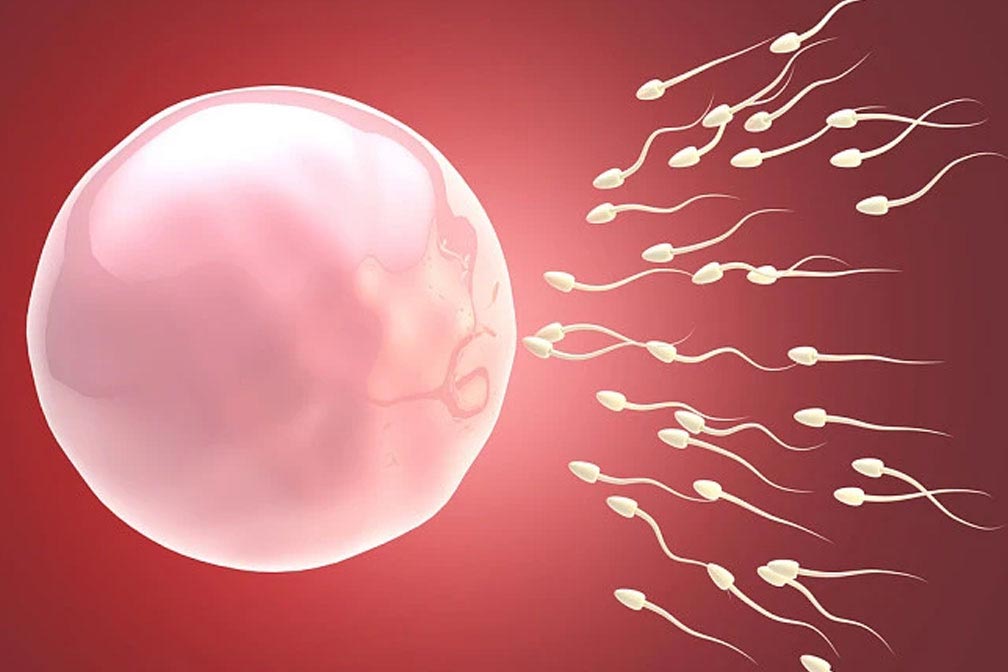 南宁供卵试管能百分百生男孩(南宁供卵试管能百分百生男孩女孩吗) 南宁供卵试管能百分百生男孩(南宁供卵试管能百分百生男孩女孩吗)